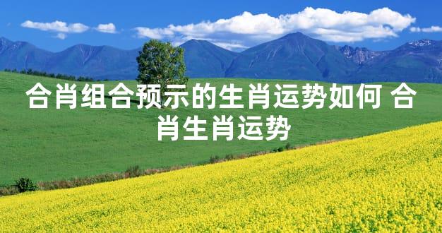 合肖组合预示的生肖运势如何 合肖生肖运势